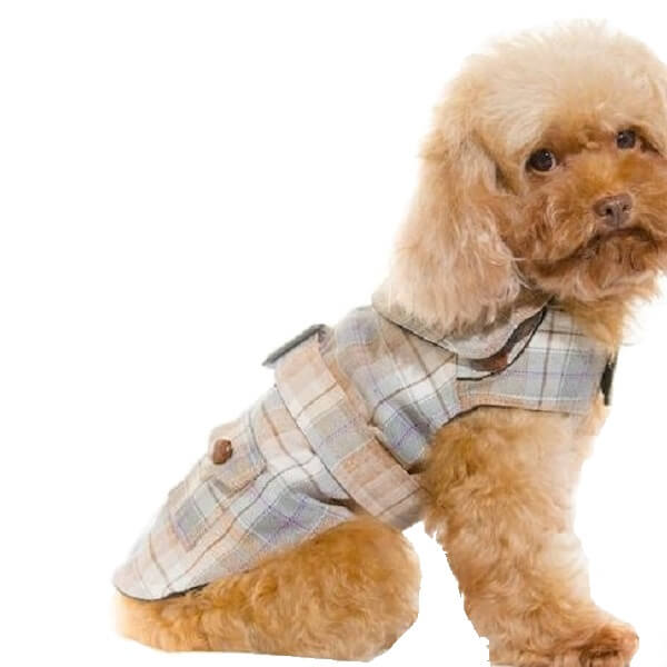 Dog Dog Collection Pet Clothes-S488BN - Image 3