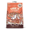 Lily's Kitchen Chicken & Salmon Puppy Dry Food-2.5kg