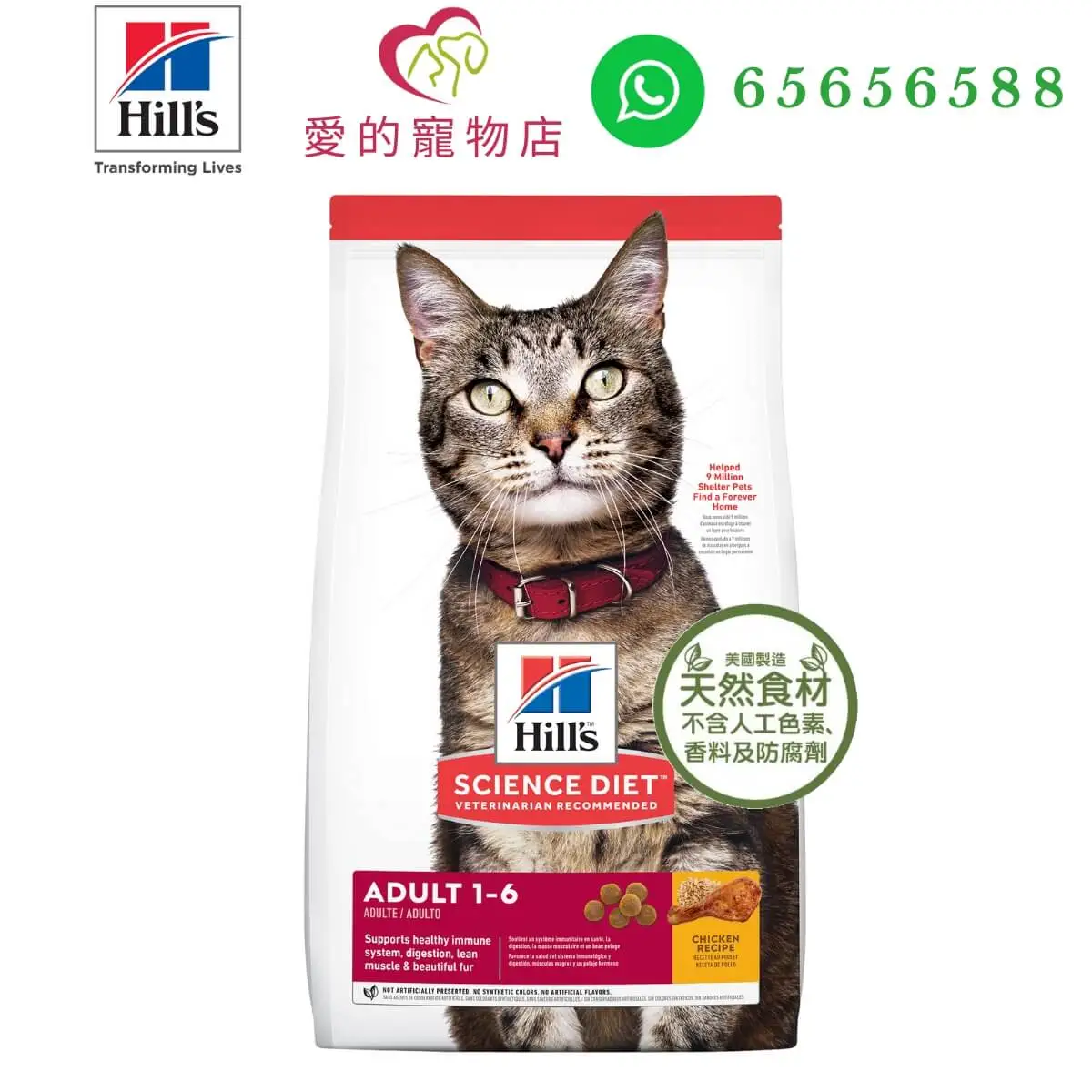 honey pet shop hills science diet adult cat dry food en c1