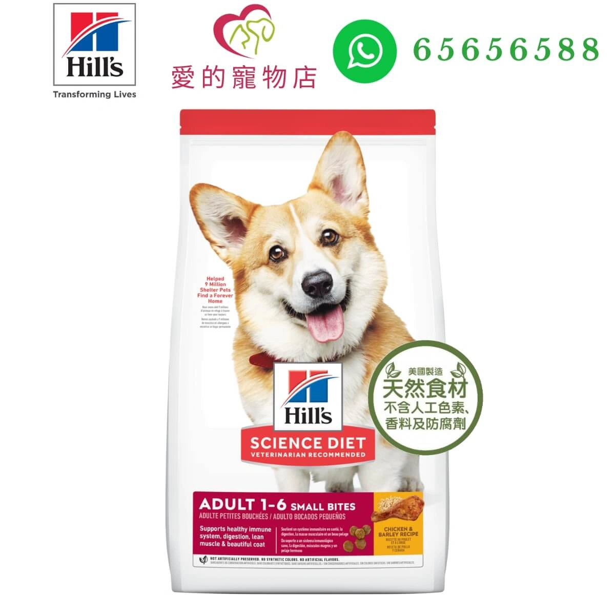 honey pet shop hills science diet adult dog dry food small bites en c1
