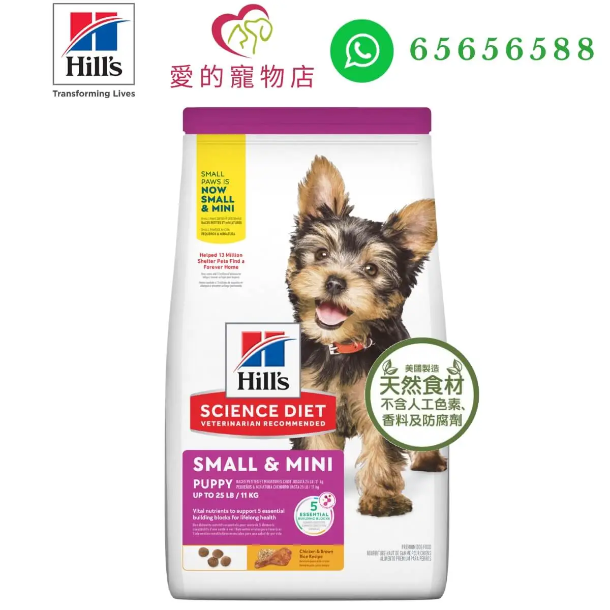 honey pet shop hills science diet puppy small paws dry food en c1