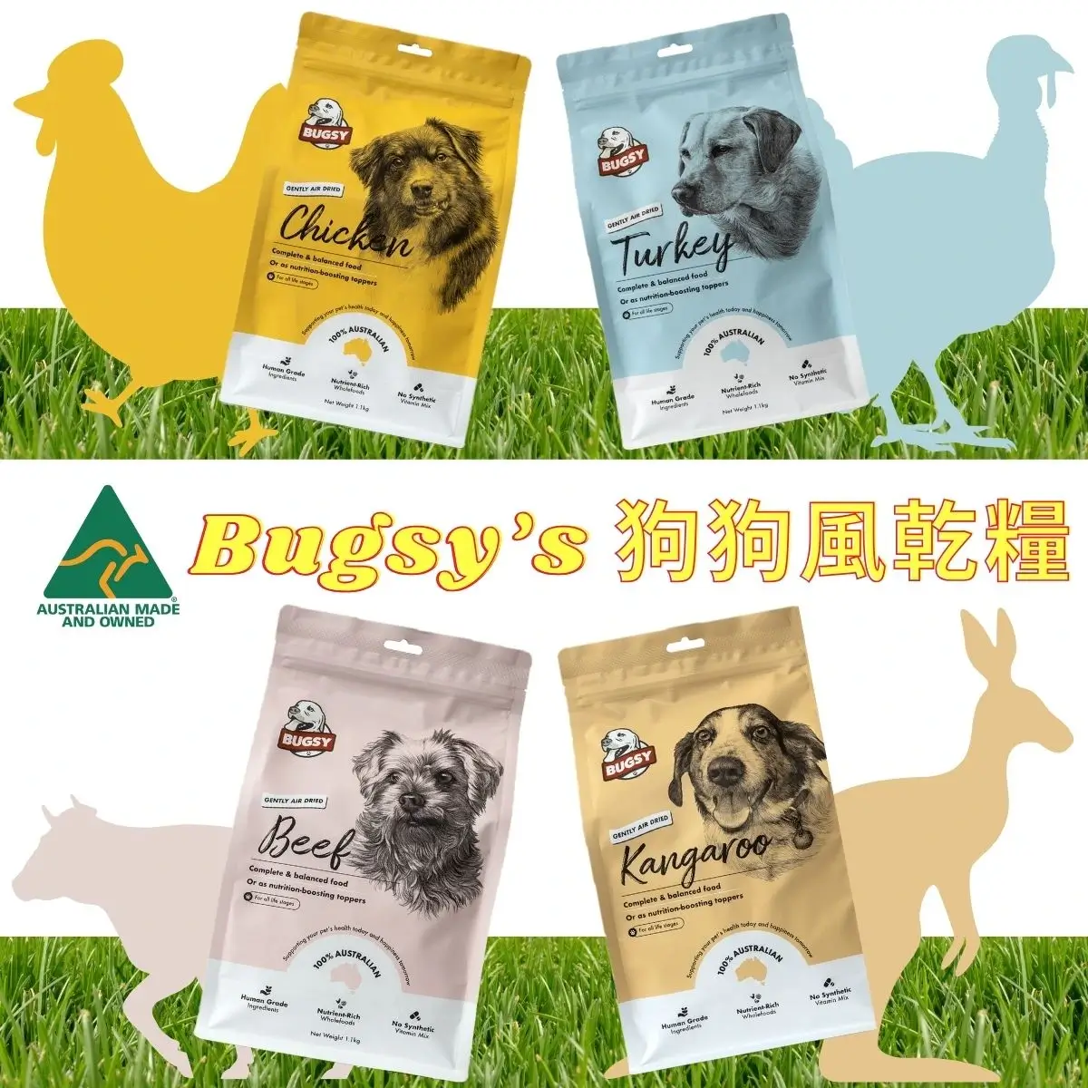 honey pet shop bugsys four different flavour dog air dired food english squar banner