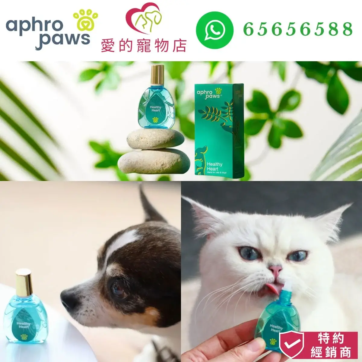 photo of Aphro Paws healthy heart for dog and cat at honey pet shop. the photo cotains aphro paws icon,honey pet shop icon,and whatsapp no 65656588 icon,authorized dealer icon.