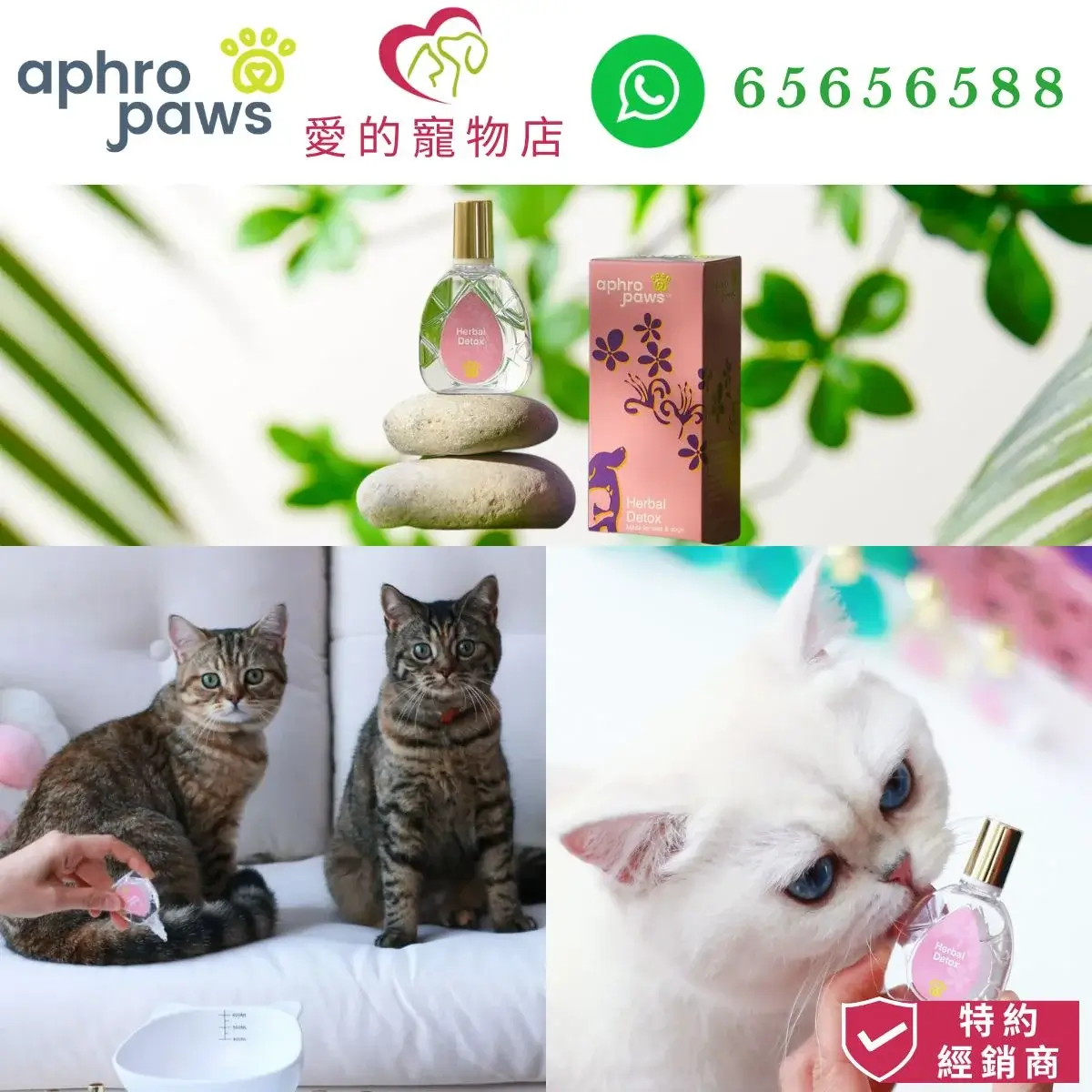 photo of Aphro Paws herbal detox for dog and cat at honey pet shop. the photo cotains aphro paws icon,honey pet shop icon,and whatsapp no 65656588 icon,authorized dealer icon.
