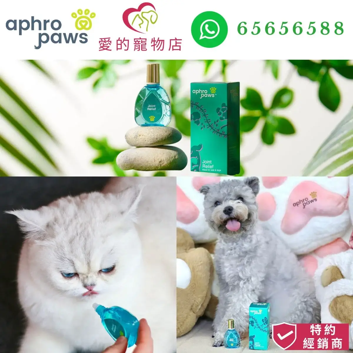 photo of Aphro Paws joint relief for dog and cat at honey pet shop. the photo cotains aphro paws icon,honey pet shop icon,and whatsapp no 65656588 icon,authorized dealer icon.
