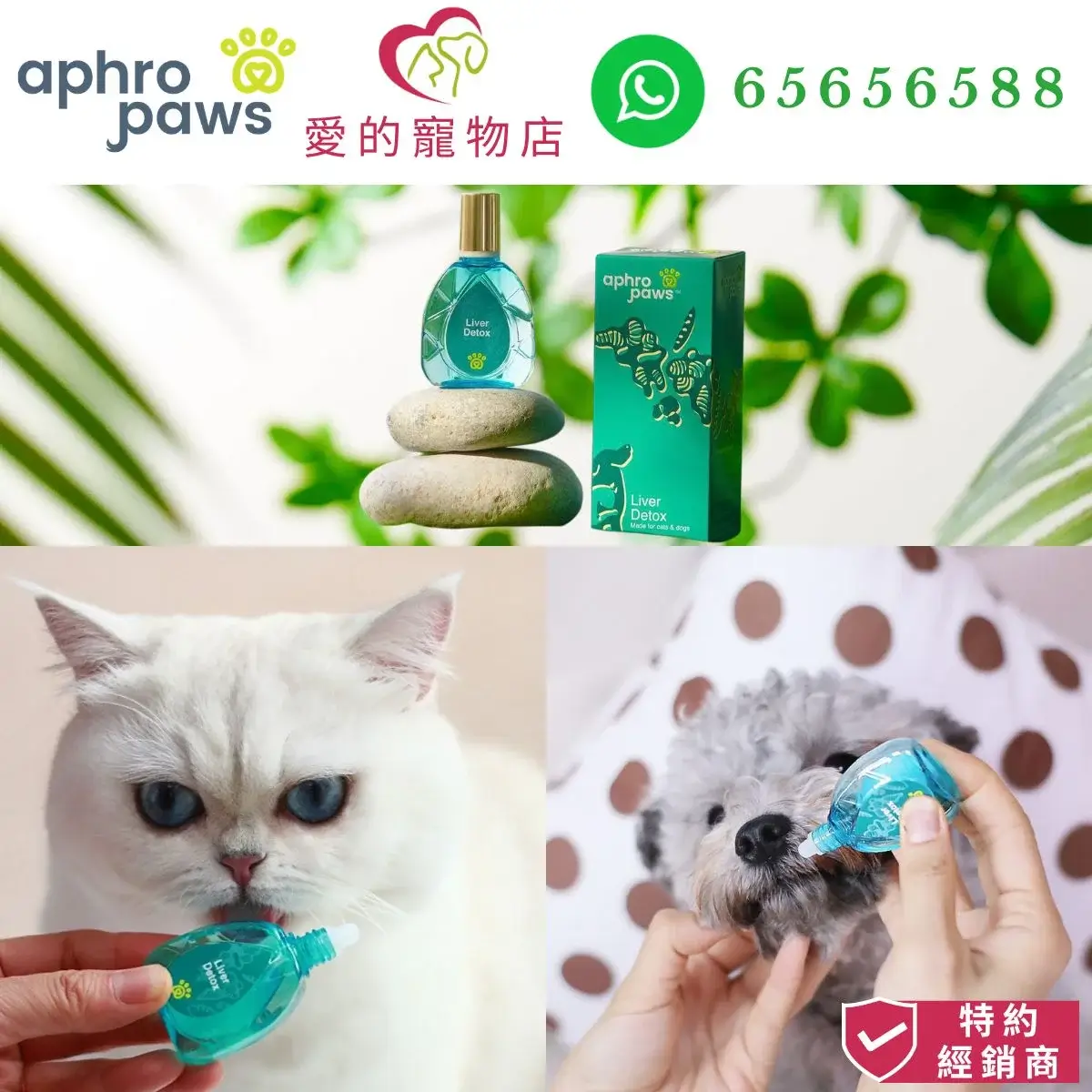 photo of Aphro Paws liver detox for dog and cat at honey pet shop. the photo cotains aphro paws icon,honey pet shop icon,and whatsapp no 65656588 icon,authorized dealer icon.