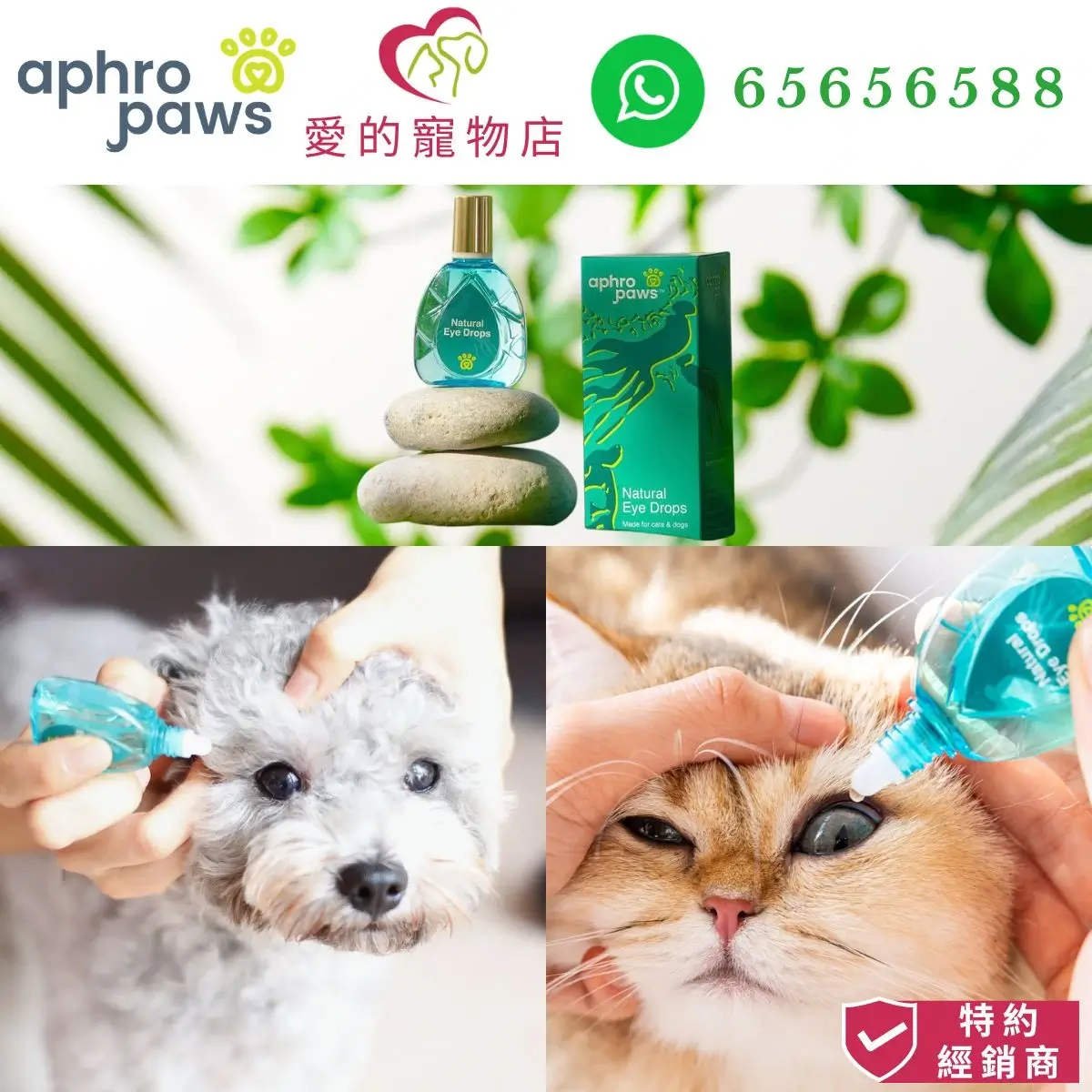photo of Aphro Paws natural eye drops for dog and cat at honey pet shop. the photo cotains aphro paws icon,honey pet shop icon,and whatsapp no 65656588 icon,authorized dealer icon.