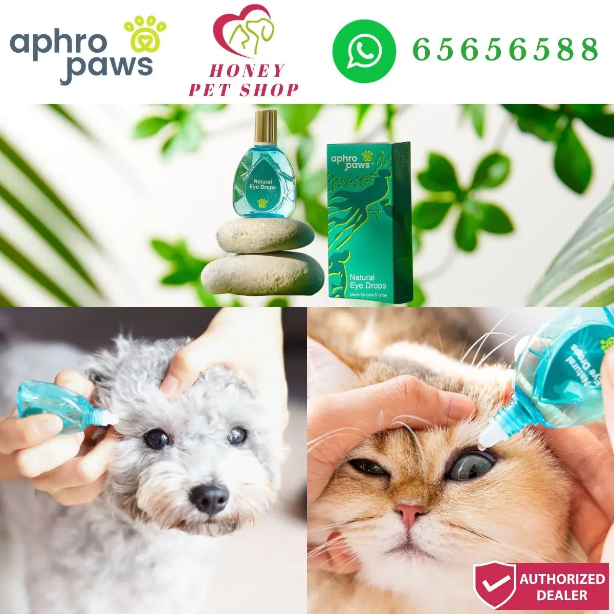 photo of Aphro Paws natural eye drops for dog and cat at honey pet shop. the photo cotains aphro paws icon,honey pet shop icon,and whatsapp no 65656588 icon,authorized dealer icon.